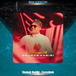 دانلود آهنگ شهاب حبیبی فرشته
