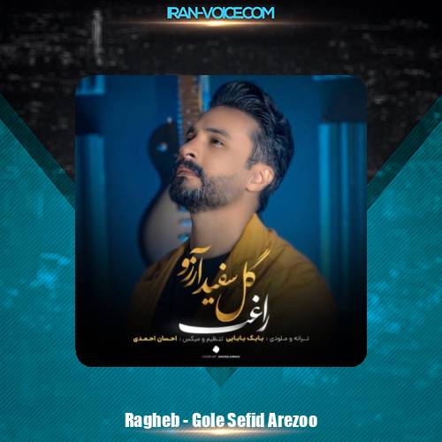 دانلود آهنگ راغب گل سفید آرزو