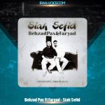 دانلود آهنگ بهزاد پکس و فریاد سیاه سفید
