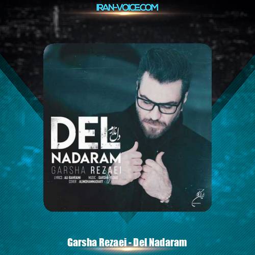 دانلود آهنگ گرشا رضایی دل ندارم