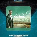 دانلود آهنگ گرشا رضایی دلم گرفته ای رفیق