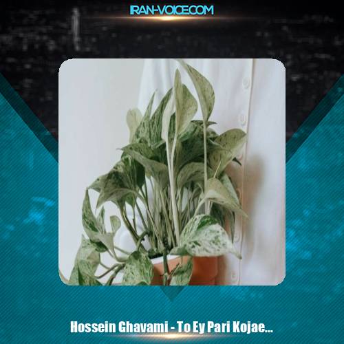 دانلود آهنگ حسین قوامی تو ای پری کجایی