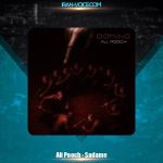 دانلود آهنگ علی پوچ صدمه