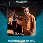 دانلود آهنگ محمد هادی عبادتی گل باغ شیراز