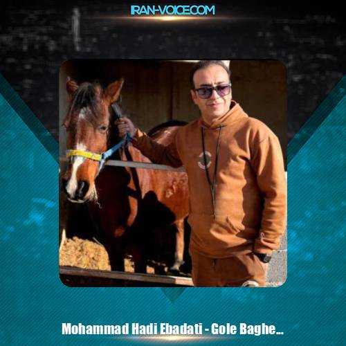 دانلود آهنگ محمد هادی عبادتی گل باغ شیراز