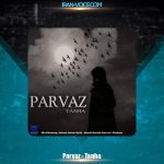 دانلود آهنگ پرواز تنها