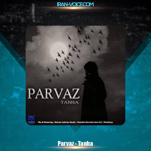 دانلود آهنگ پرواز تنها