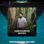 دانلود آهنگ شاهین ابراهیم زاده گرگ و میش