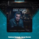 دانلود آهنگ شهرام شکوهی گرگ چشات
