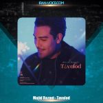 دانلود آهنگ مجید رضوی تولد