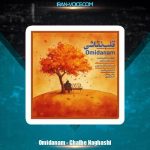 دانلود آهنگ امیدانم قلب نقاشی