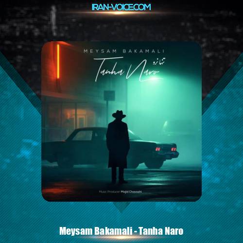 دانلود آهنگ میثم باکمالی تنها نرو